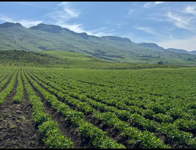 830HA FARM FOR SALE IN DARGLE